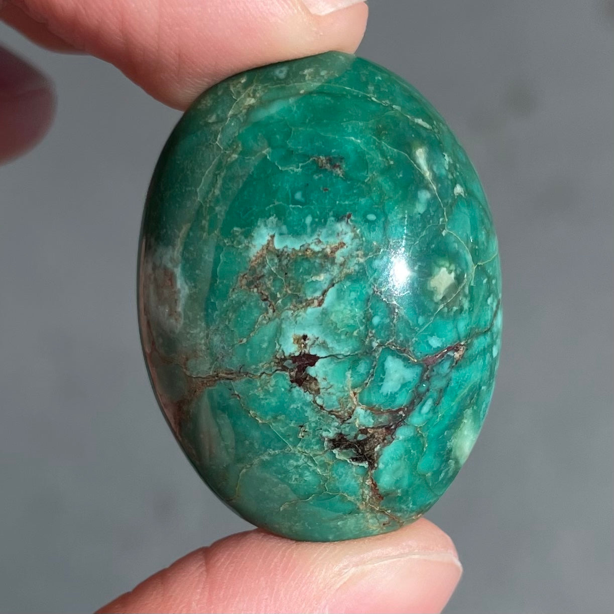 Turquoise #255 | Royston