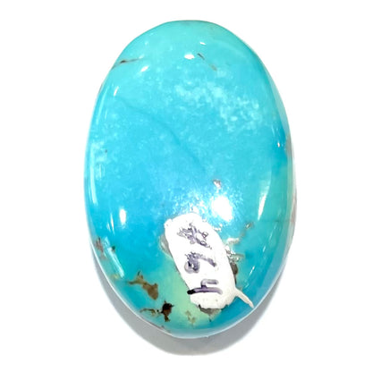 Turquoise #64 | Sleeping Beauty