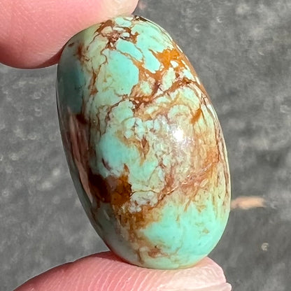 Turquoise #266B | Pinto Valley