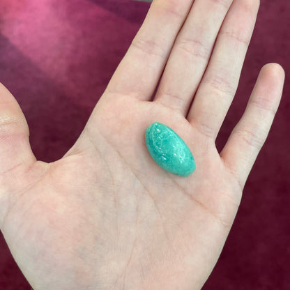 Turquoise #251 | Royston