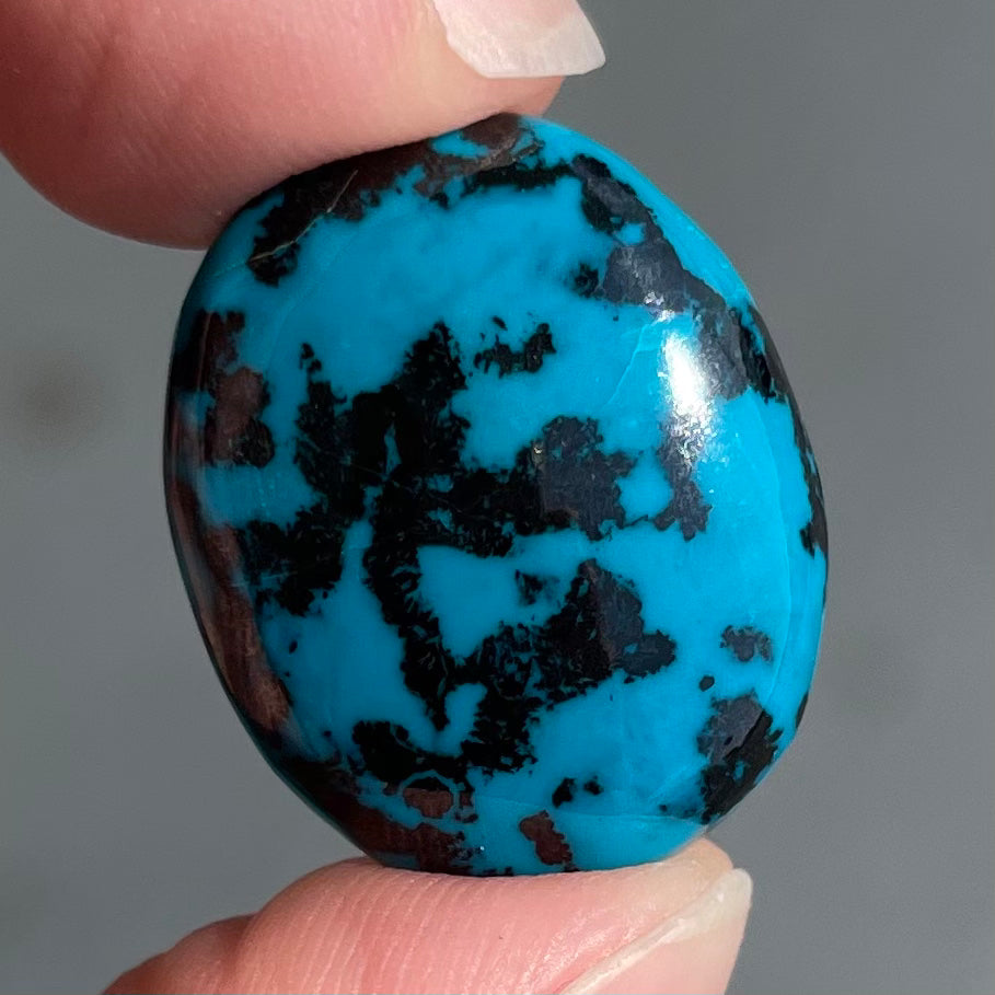 A loose, oval cabochon cut chrysocolla cabochon.