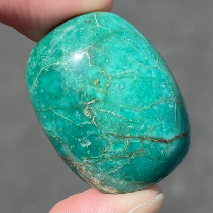 Turquoise #254 | Royston