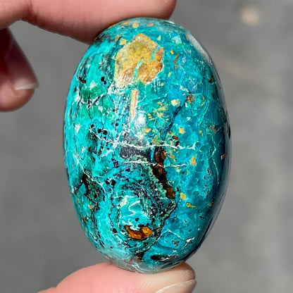 Chrysocolla Cabochon | #139