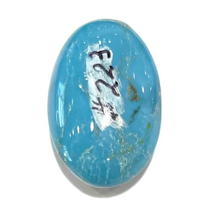 Turquoise #223 | Persian