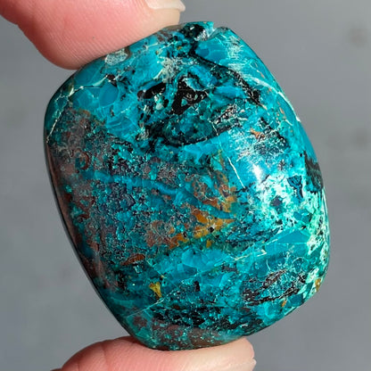 Chrysocolla Cabochon | #141