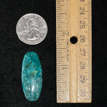 A loose, oval cabochon cut chrysocolla stone with blue azurite inclusions.