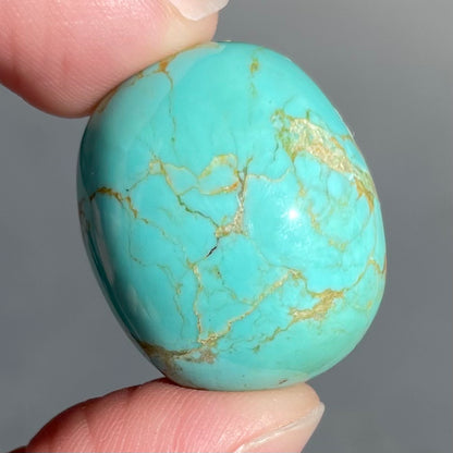 Turquoise #131 | Royston