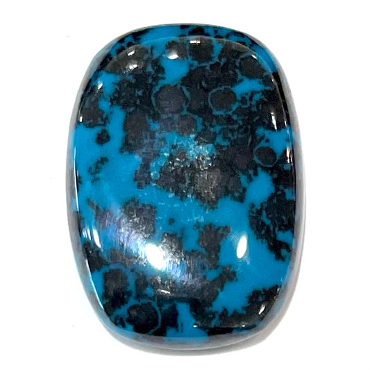 A loose, cushion cabochon cut chrysocolla stone.