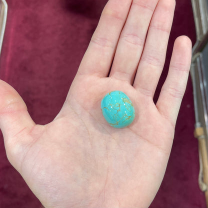 Turquoise #131 | Royston