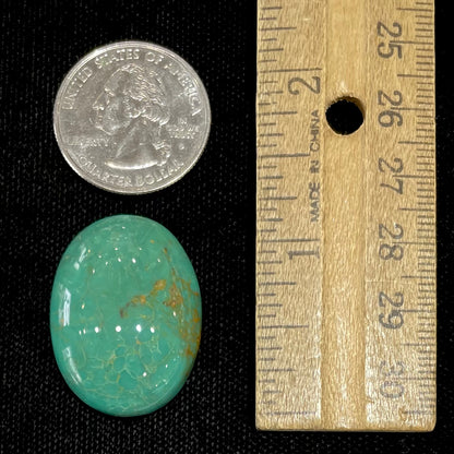 Turquoise #253 | Royston