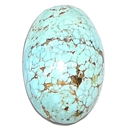 Turquoise #290 | Number 8