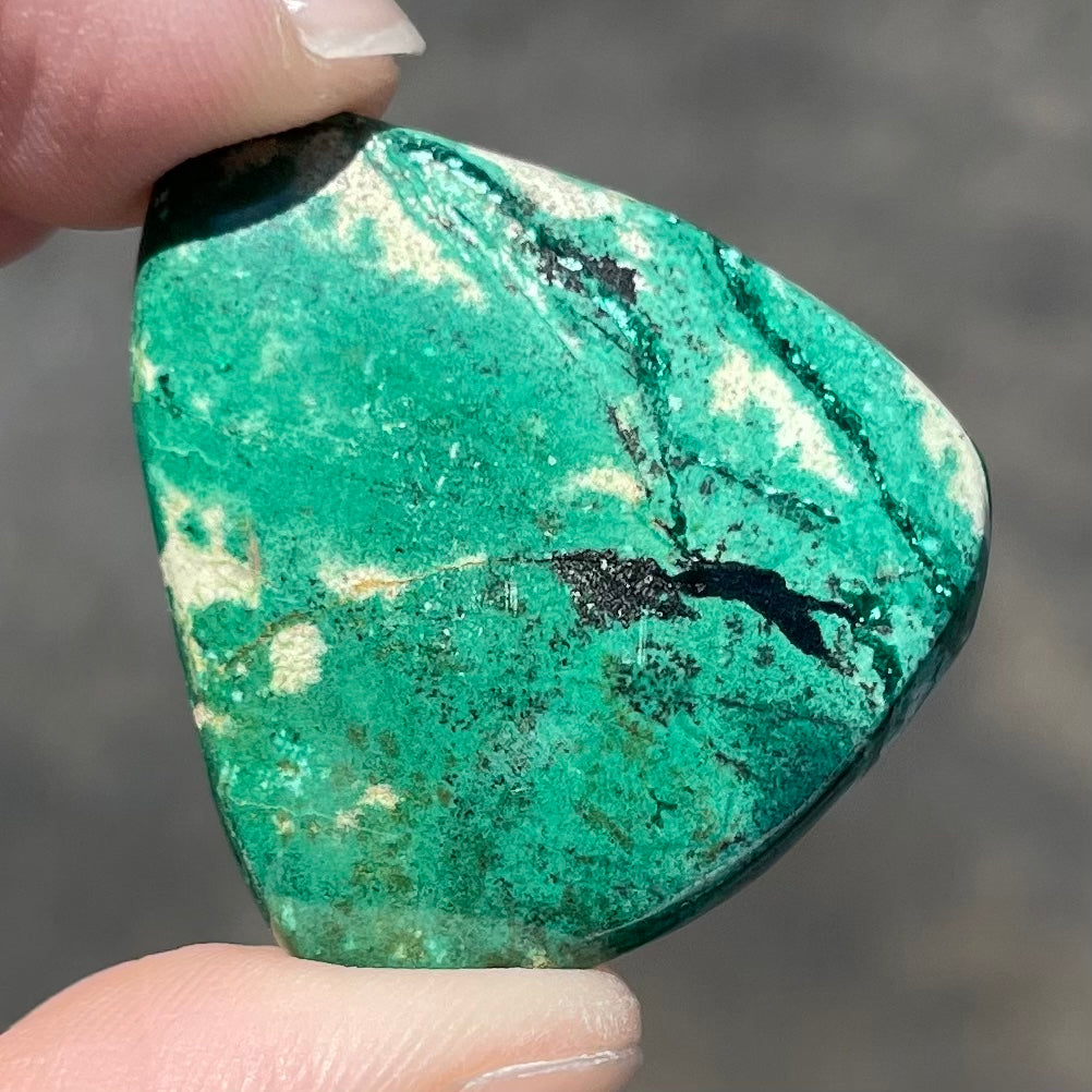 A loose, triangular cabochon cut variscite stone from Utah, USA.