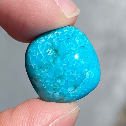 Turquoise #261 | Sleeping Beauty