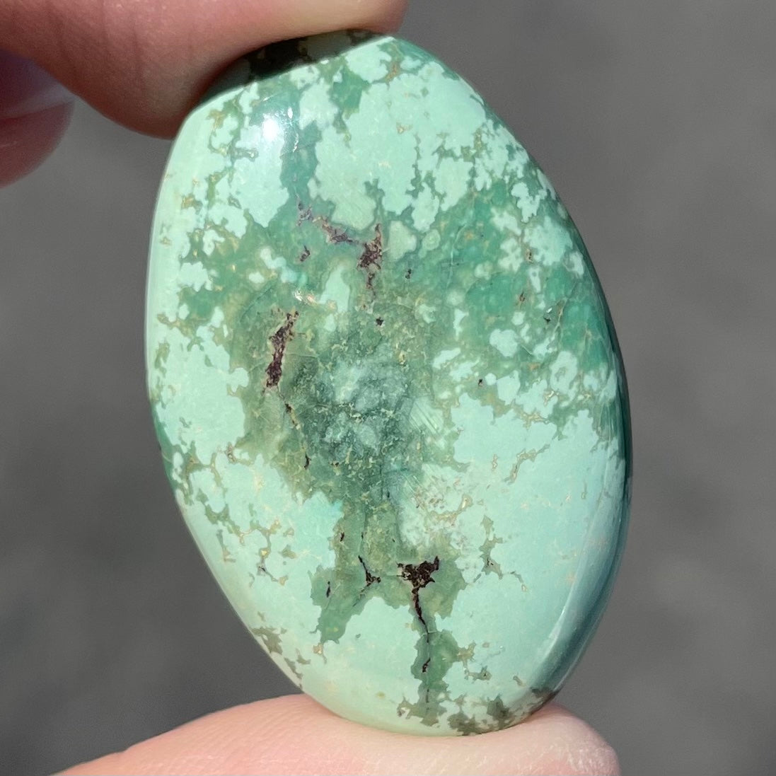 A loose, oval cabochon cut variscite stone from Utah, USA.