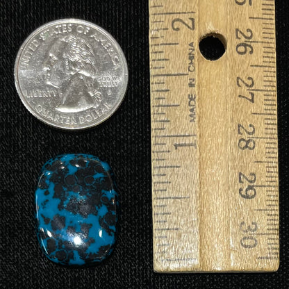 A loose, cushion cabochon cut chrysocolla stone.