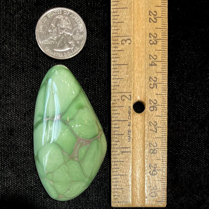 A large, polished variscite stone from Utah.