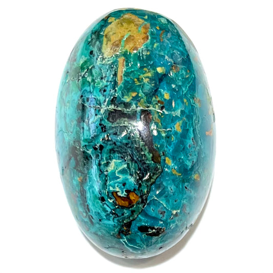 Chrysocolla Cabochon | #139