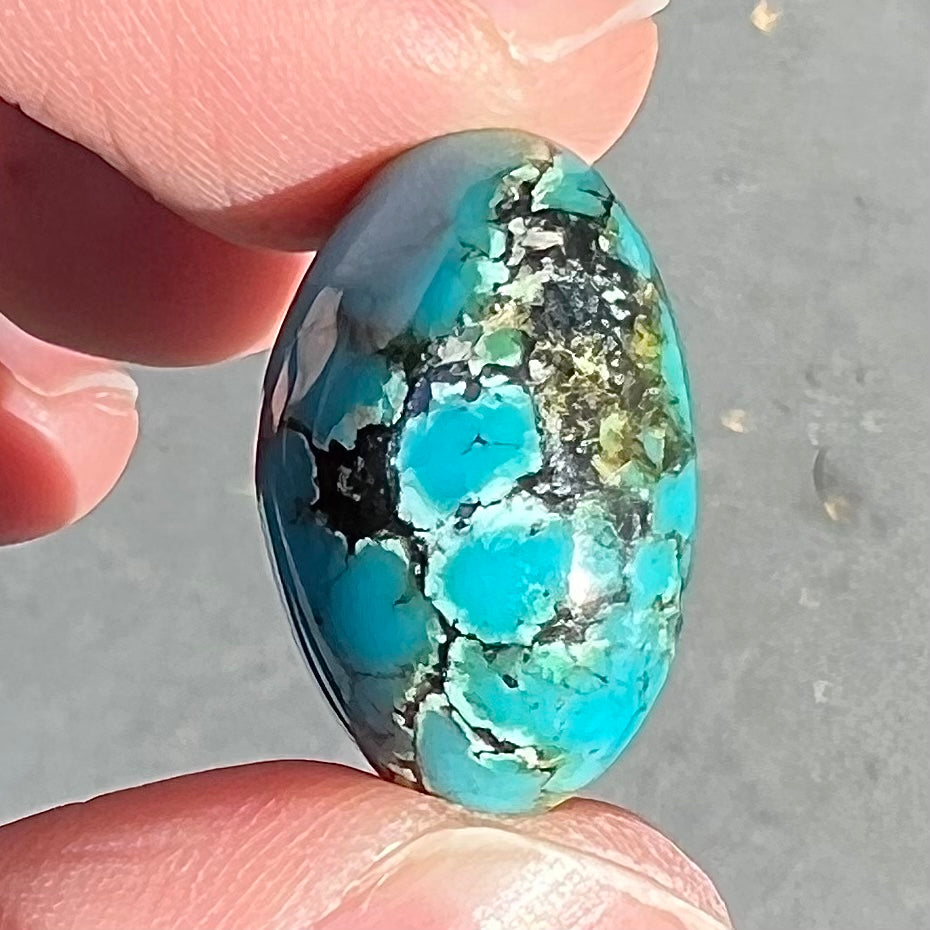 Turquoise #293 | Indian Mountain