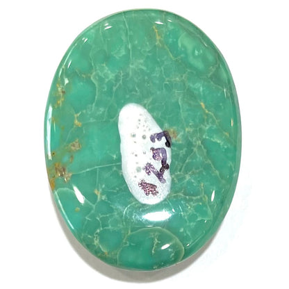Turquoise #253 | Royston