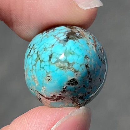 A loose, multicolored, round cabochon cut turquoise stone from Valley Blue Mine in Lander County, Nevada.