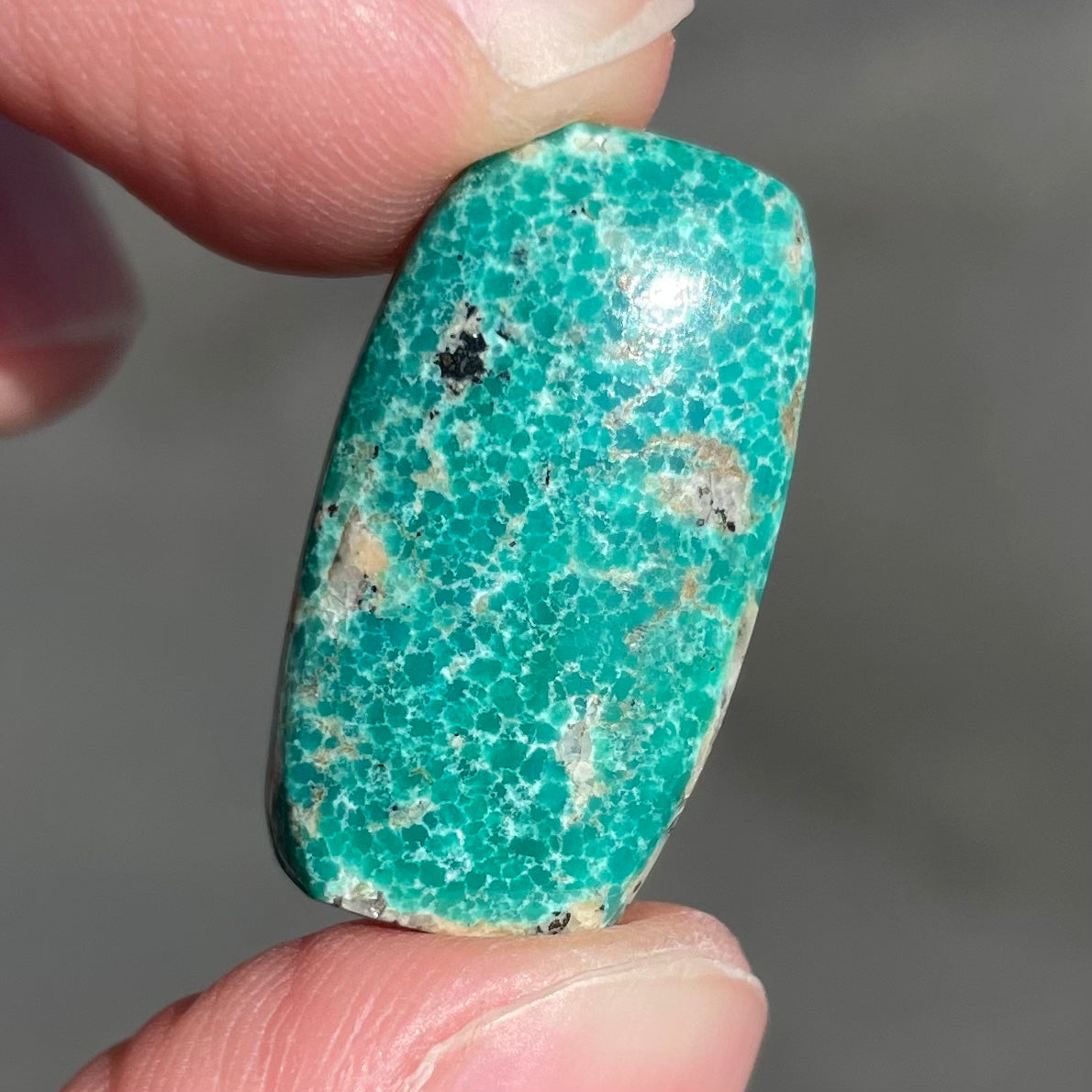 A loose, green cabochon cut turquoise stone from Royston District, Nevada.