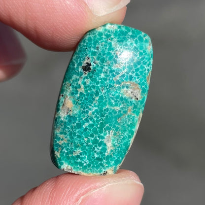A loose, green cabochon cut turquoise stone from Royston District, Nevada.