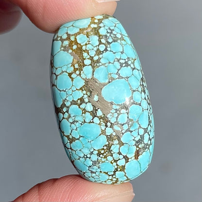 A loose spiderweb turquoise stone from Number 8 Mine in Lander County, Nevada.