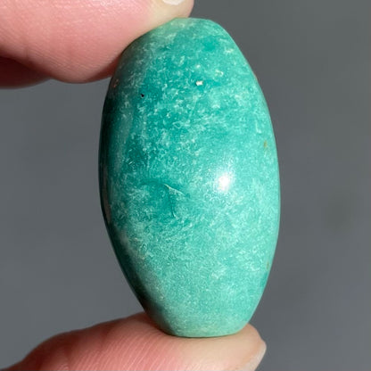 Turquoise #251 | Royston