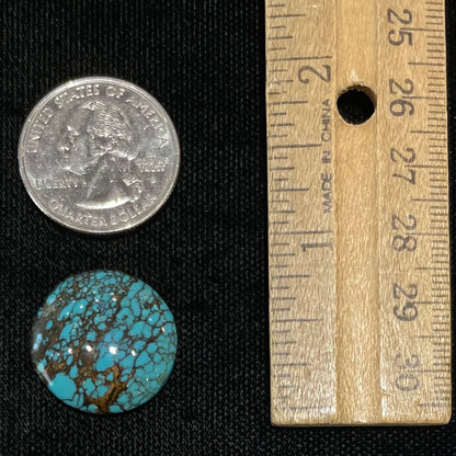 Turquoise #277 | Number 8