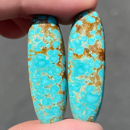 Number 8 Turquoise Large Natural Gem High Grade 8 Cabochon 31.4 CTS 