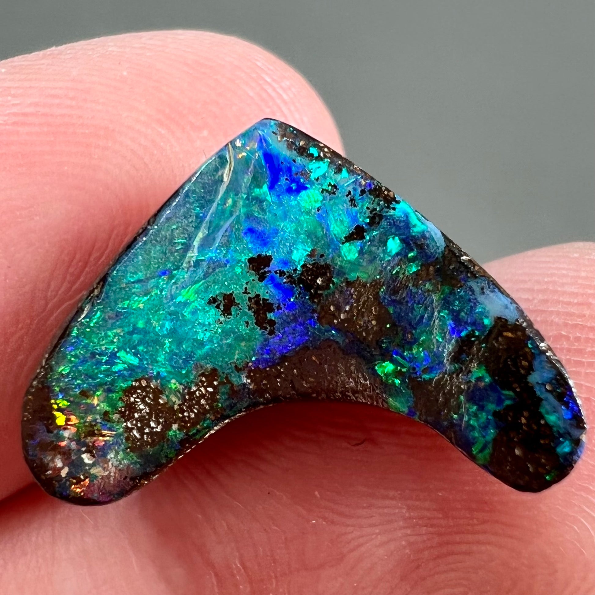 A loose, polished, boomerang shaped boulder opal stone from Queensland, Australia.