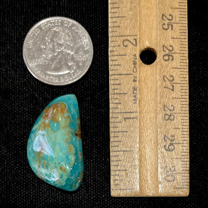 A loose freeform cut turquoise stone from the Royston Mining District in Nevada.