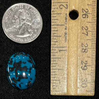 A loose, oval cabochon cut chrysocolla cabochon.