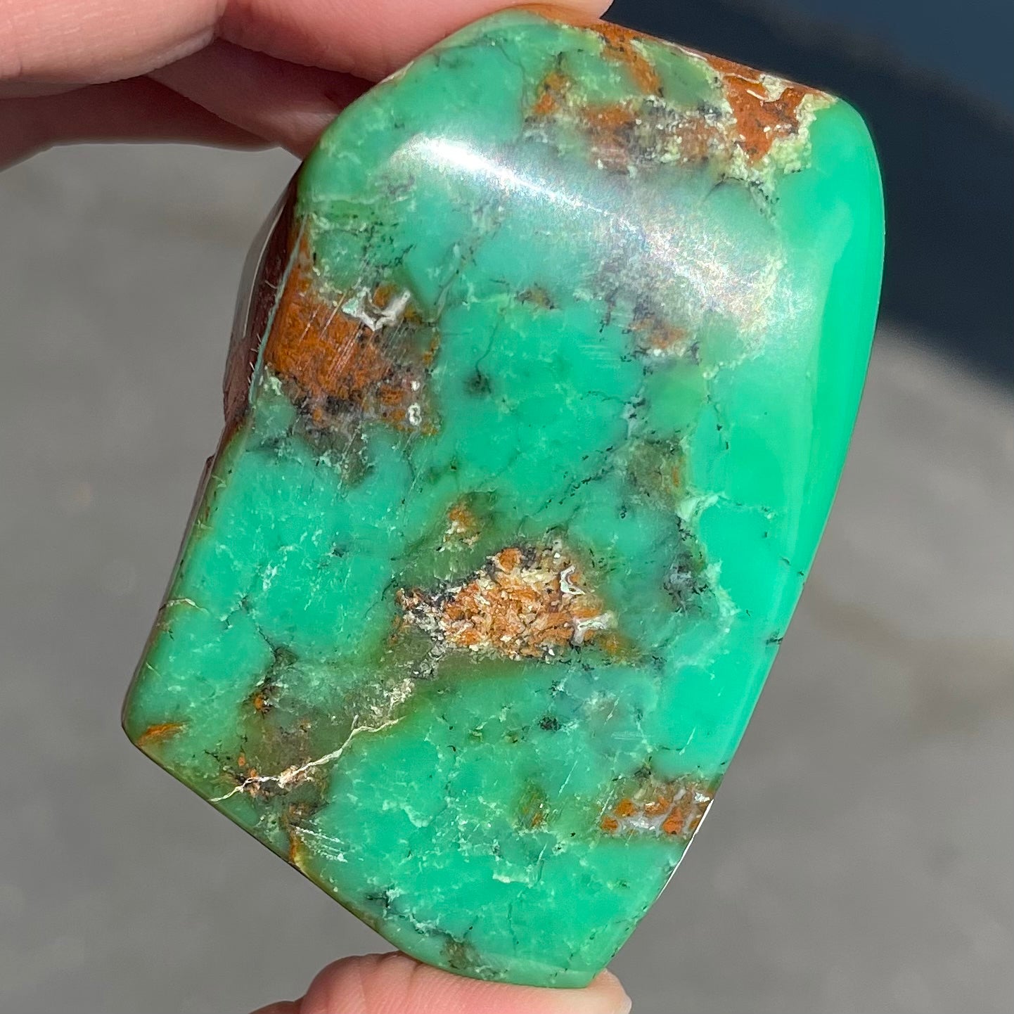 A polished green chrysoprase stone with brown matrix inclusions.