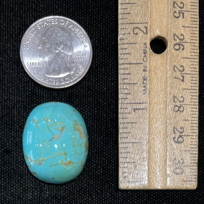 Turquoise #131 | Royston