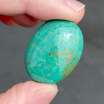 Turquoise #253 | Royston