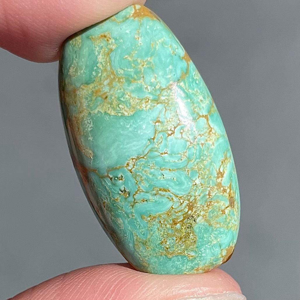 A loose, cabochon cut, green turquoise stone with brown matrix.