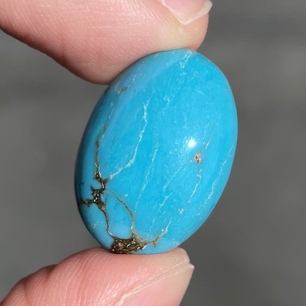 Turquoise #223 | Persian