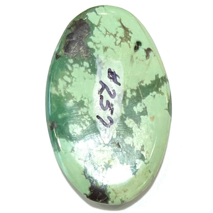 A loose, oval cabochon cut variscite stone from Utah, USA.