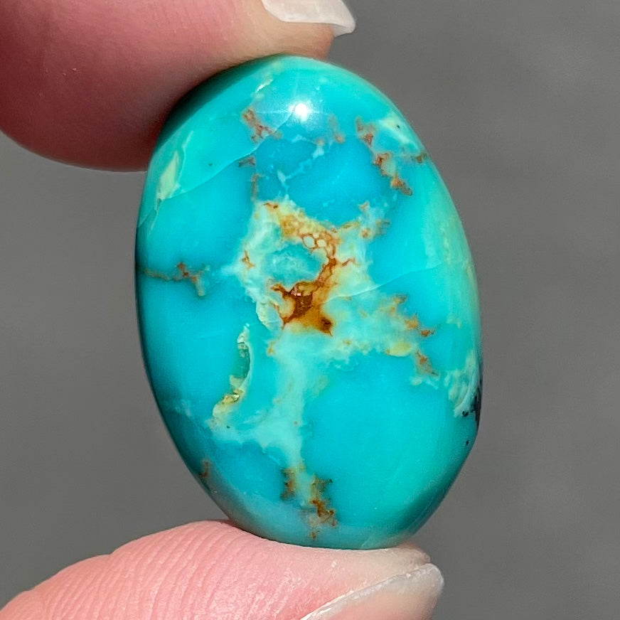 Loose Pilot Mountain turquoise with a pattern of brown matrix spots that resembles a star.  星绿松石