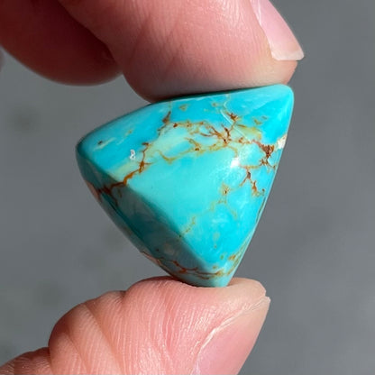 Turquoise #246 | Royston