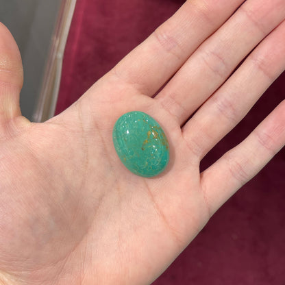 Turquoise #253 | Royston