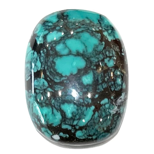 Turquoise #278 | Tibetan