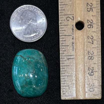 Turquoise #254 | Royston