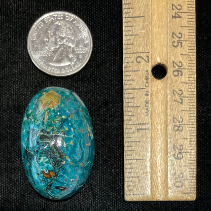 Chrysocolla Cabochon | #139