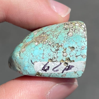 Turquoise #79 | Kingman