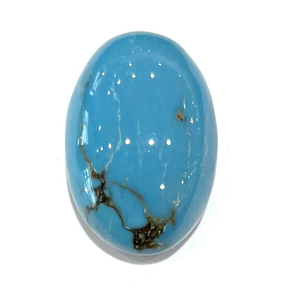 Turquoise #223 | Persian
