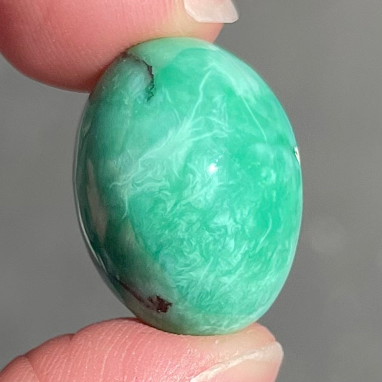 Turquoise #263 | Tyrone