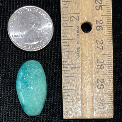 Turquoise #251 | Royston