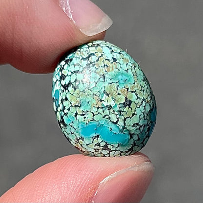 Turquoise #284A | Number 8